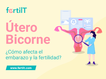 https://www.fertilt.com/wp-content/uploads/2023/12/utero-bicorne-portada-miniatura.jpg