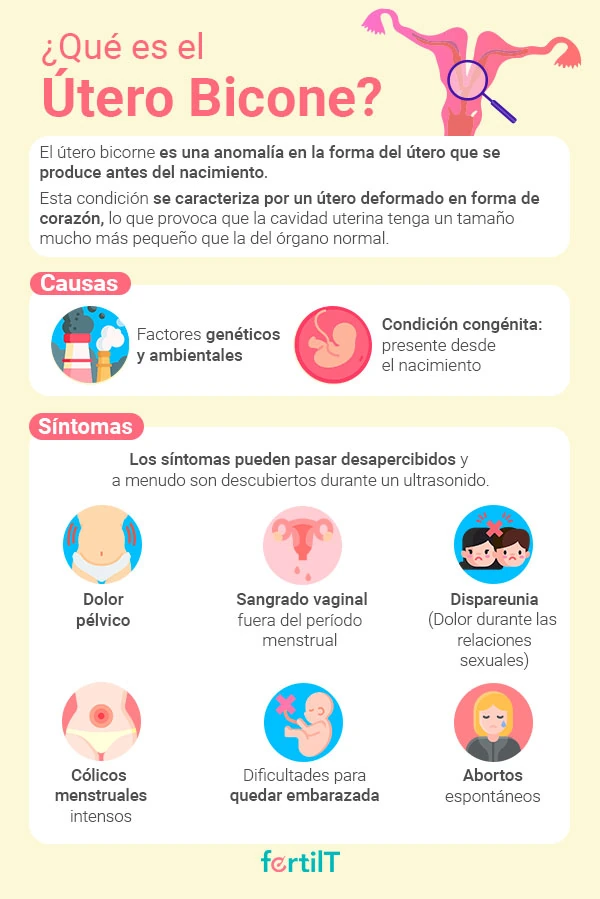 Útero bicorne definición, causas y síntomas en infografía amarilla