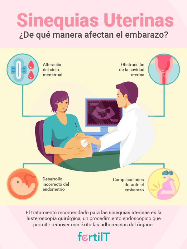 Infografía de cómo afectan las sinequias uterinas el embarazo