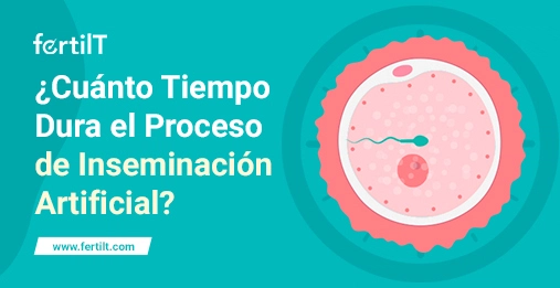 ᐅ ¿Cuánto Tiempo Dura el Proceso de Inseminación Artificial?