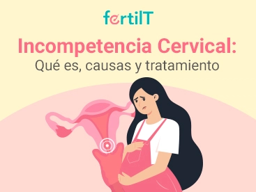 https://www.fertilt.com/wp-content/uploads/2025/01/incompetencia-cervical-que-es-causa-y-tratamientos-mini.webp