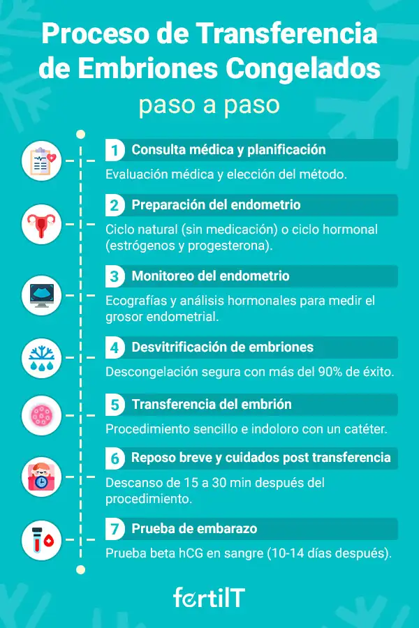 Paso a paso del proceso de transferencia de embriones congelados