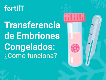https://www.fertilt.com/wp-content/uploads/2025/03/trasferencia-de-embriones-congelados-como-funciona-miniatura.webp