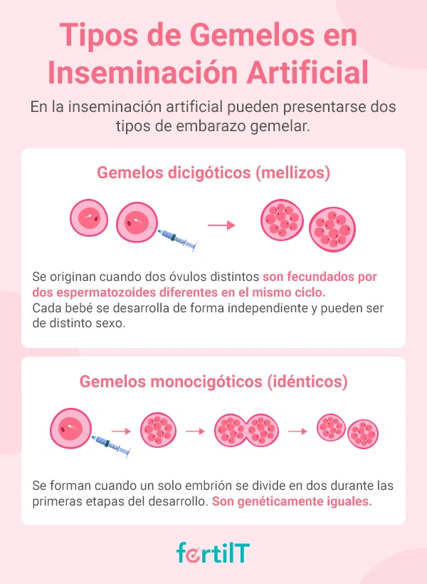 Infografía sobre los tipos de gemelos en inseminación artificial