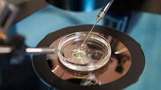 Proceso de fertilización in Vitro