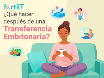 Portada de artículo ¿Qué hacer después de una transferencia de embriones?