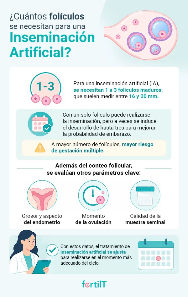 Infografía informativa sobre cuántos folículos se necesitan para una inseminación artificial, acompañada de ilustraciones relacionadas con la evaluación médica, el endometrio, la ovulación y la muestra seminal.Infografía informativa sobre cuántos folículos se necesitan para una inseminación artificial, acompañada de ilustraciones relacionadas con la evaluación médica, el endometrio, la ovulación y la muestra seminal.
