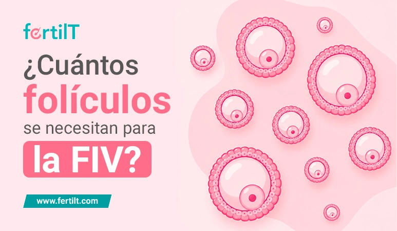 Portada de artículo: ¿Cuántos folículos se necesitan para la FIV? Con imagen animada de folículos de diferentes tamaños en color rosa.