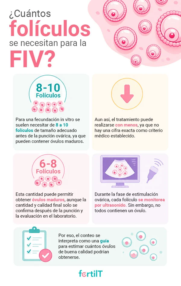 Infografía sobre cuántos folículos se necesitan para la fecundación in vitro.