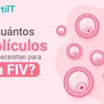 Portada miniatura de articulo: Cuántos folículos se necesitan para la FIV, con imagen animada de folículos en color rosa.