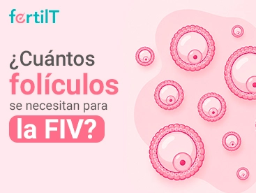 Portada miniatura de articulo: Cuántos folículos se necesitan para la FIV, con imagen animada de folículos en color rosa.