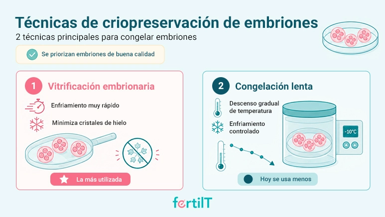 Infografía sobre técnicas de criopreservación de embriones, comparando la vitrificación embrionaria y la congelación lenta mediante ilustraciones de embriones, enfriamiento rápido y control de temperatura.
